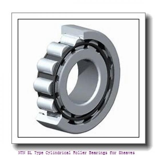 320 mm x 480 mm x 218 mm  NTN SL04-5064NR SL Type Cylindrical Roller Bearings for Sheaves #1 image