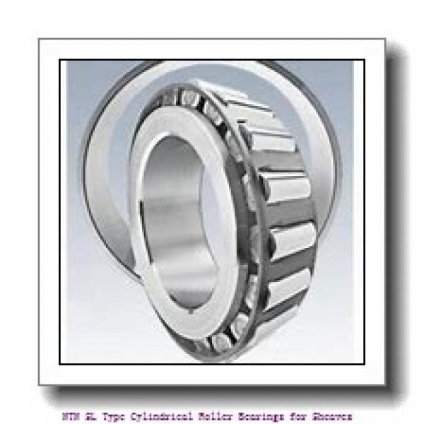150 mm x 225 mm x 100 mm  NTN SL04-5030NR SL Type Cylindrical Roller Bearings for Sheaves #1 image
