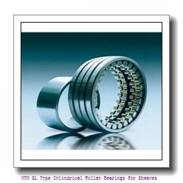 130 mm x 200 mm x 95 mm  NTN SL04-5026NR SL Type Cylindrical Roller Bearings for Sheaves #1 image