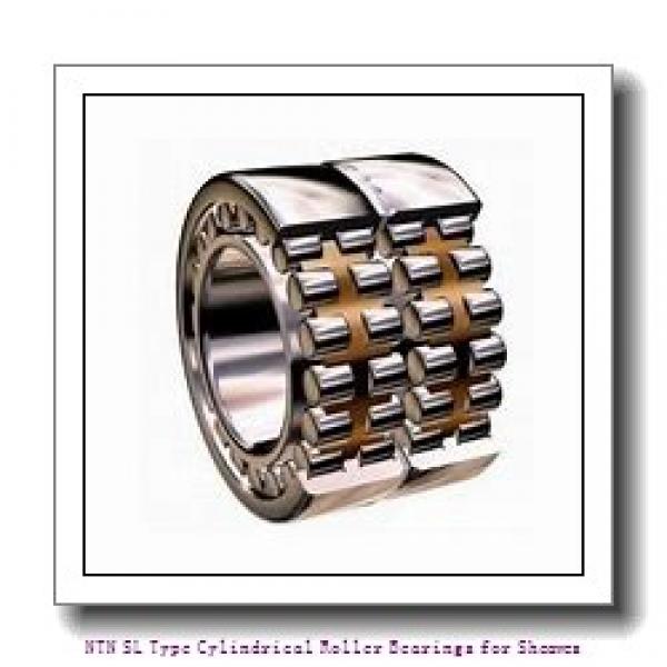 300 mm x 460 mm x 218 mm  NTN SL04-5060NR SL Type Cylindrical Roller Bearings for Sheaves #1 image